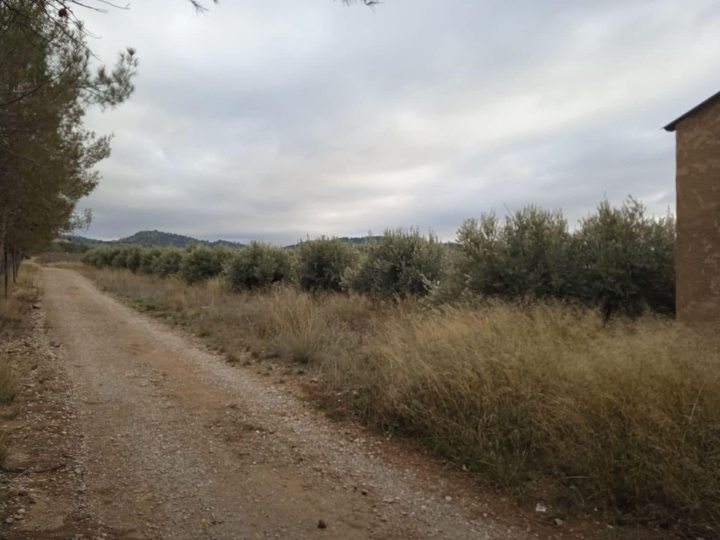 4 soveværelse Finca/Landehus til salg i Beas de Guadix - € 480.000 (Ref: 8758200)