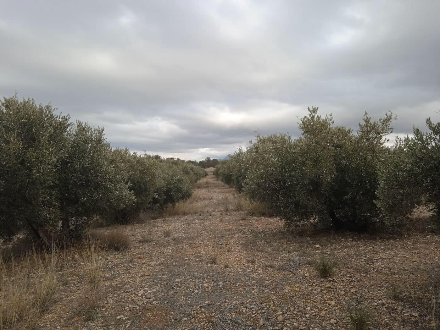 4 soveværelse Finca/Landehus til salg i Beas de Guadix - € 480.000 (Ref: 8758200)