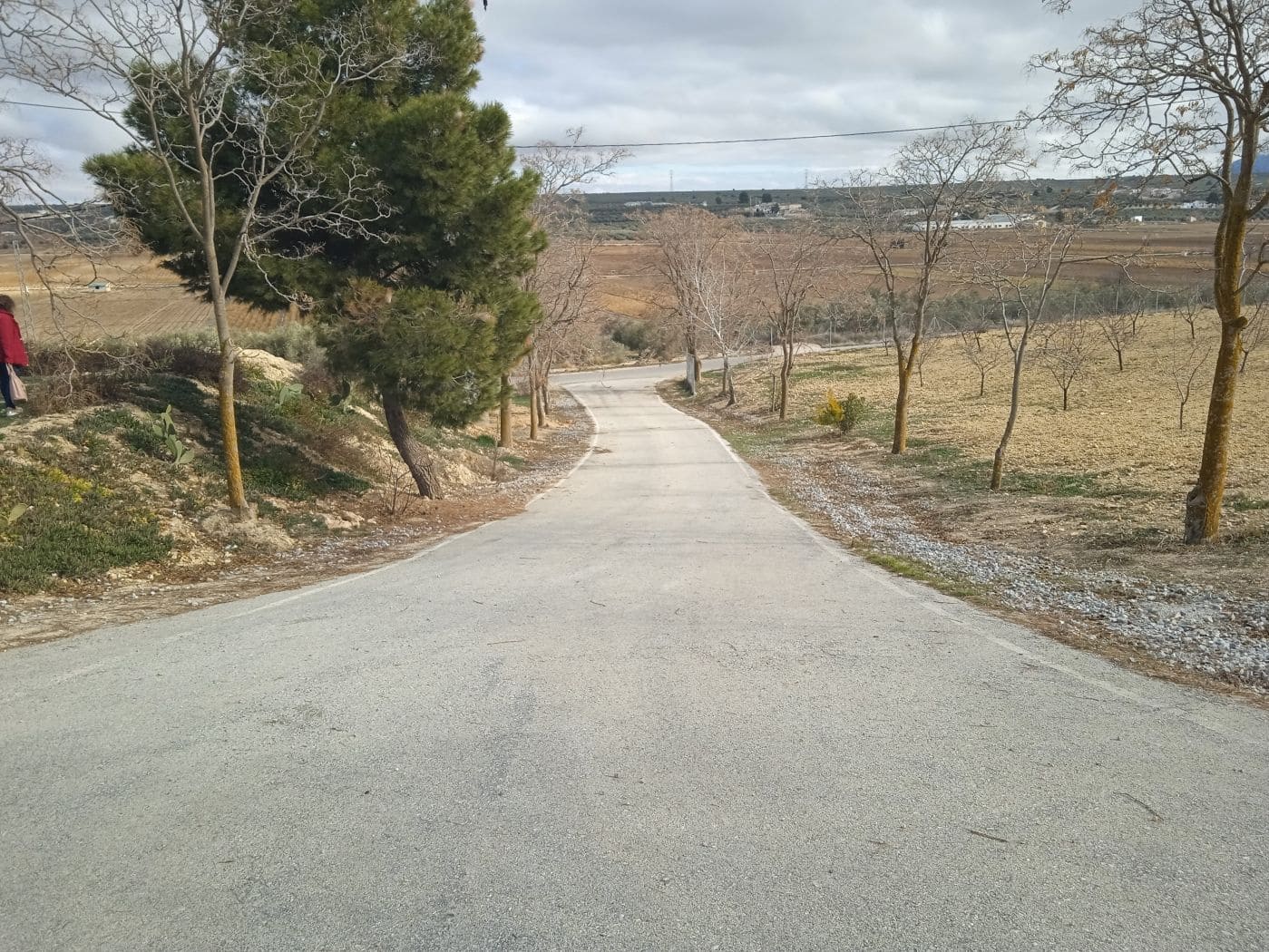 7 soveværelse Hulehus til salg i Cuevas del Campo - € 430.000 (Ref: 8758201)