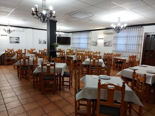Business for sale in Cuevas del Campo - € 479,000 (Ref: 8758233)