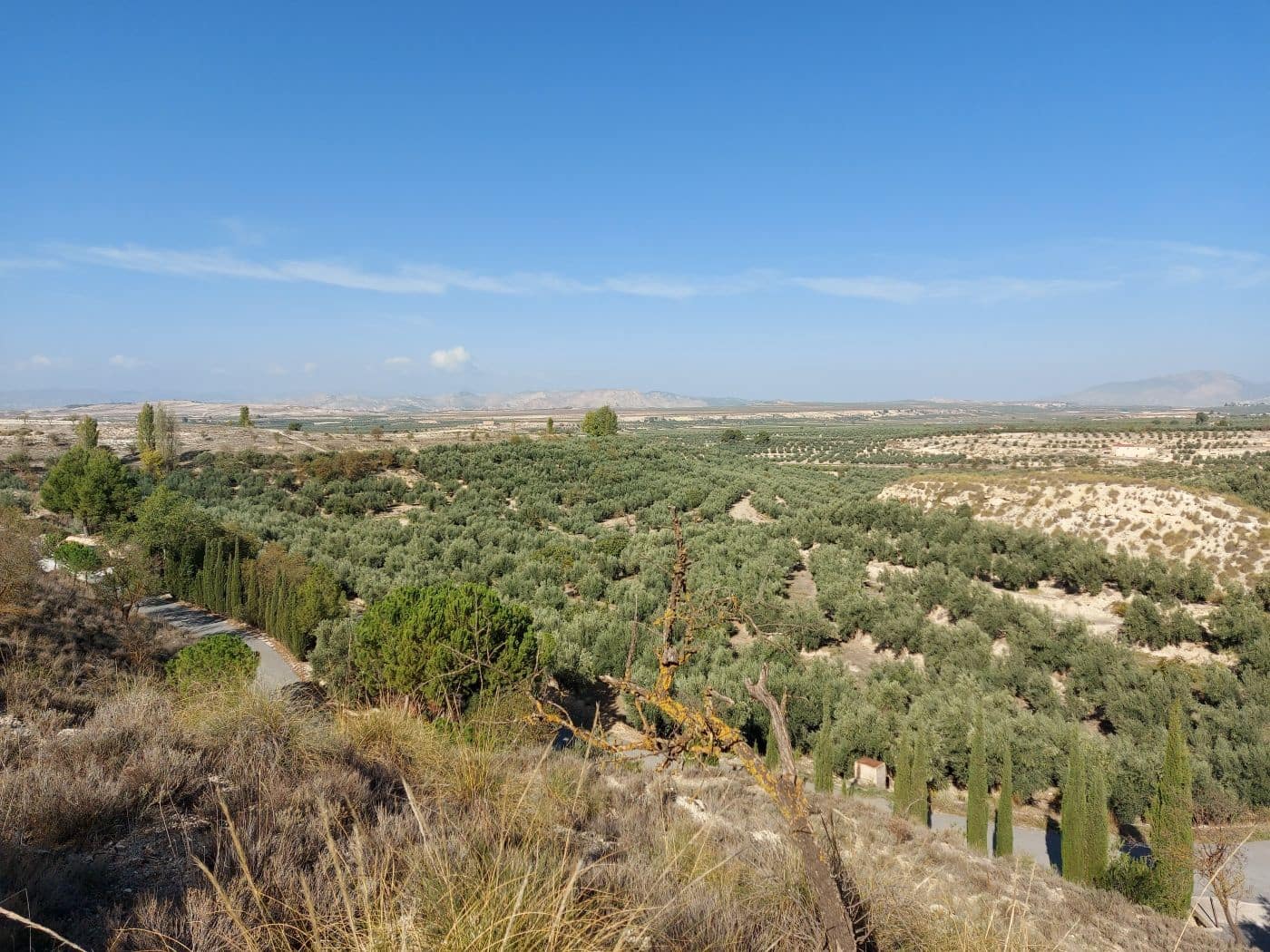 3 soveværelse Hulehus til salg i Cuevas del Campo - € 214.900 (Ref: 8758234)