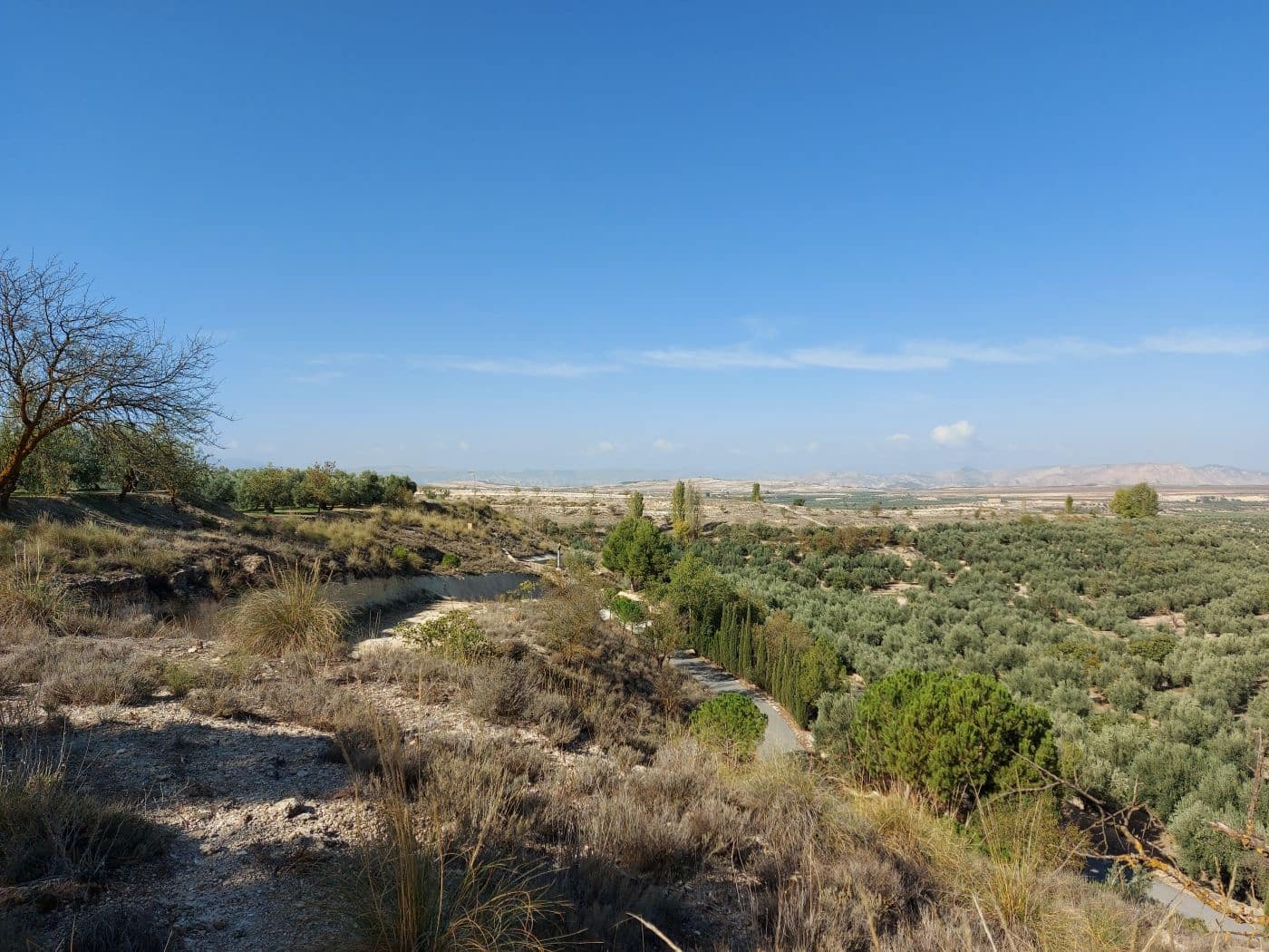 3 soveværelse Hulehus til salg i Cuevas del Campo - € 214.900 (Ref: 8758234)