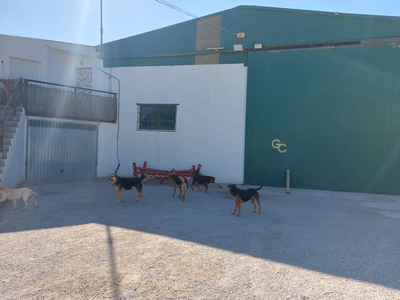 6 sypialnia Biznes na sprzedaż w Baza - 369 000 € (Ref: 8758236)