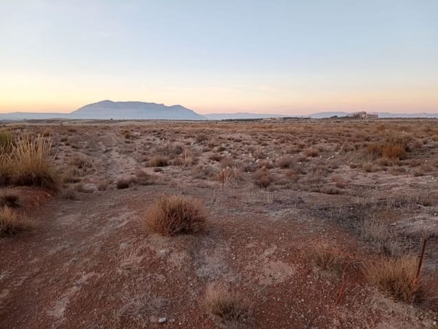 6 bedroom Business for sale in Baza - € 369,000 (Ref: 8758236)