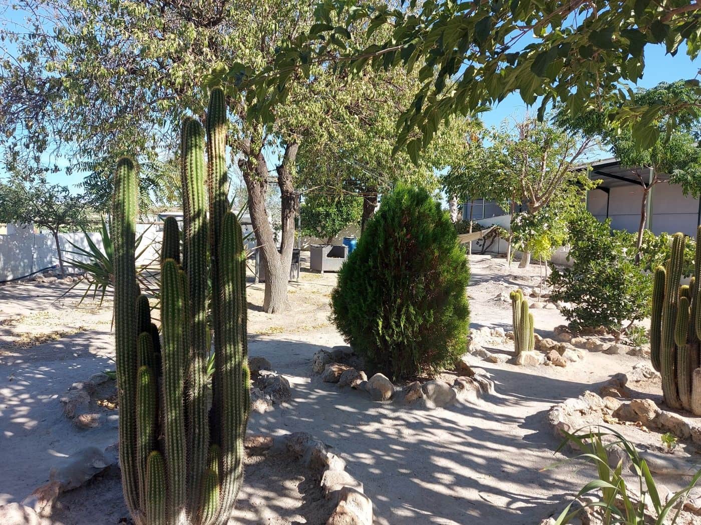 6 sypialnia Biznes na sprzedaż w Baza - 369 000 € (Ref: 8758236)