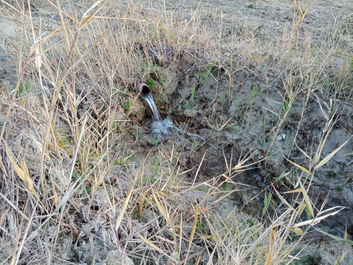 6 sypialnia Biznes na sprzedaż w Baza - 369 000 € (Ref: 8758236)