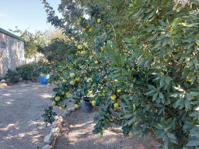 6 bedroom Business for sale in Baza - € 369,000 (Ref: 8758236)