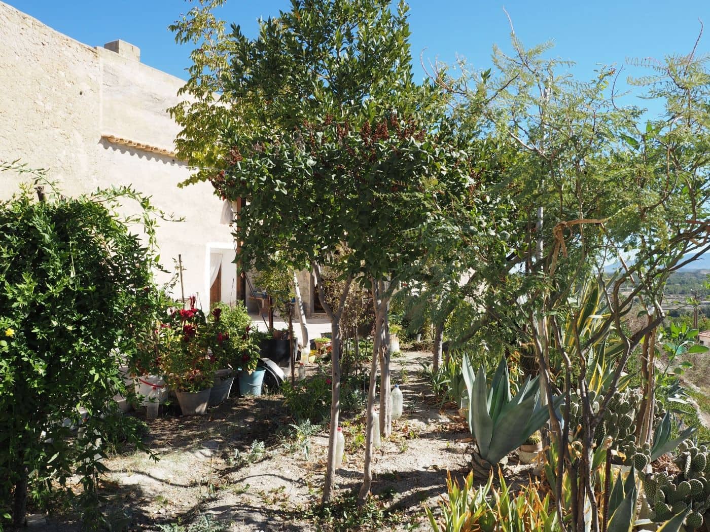 4 soveværelse Hulehus til salg i Benamaurel - € 129.500 (Ref: 8758240)