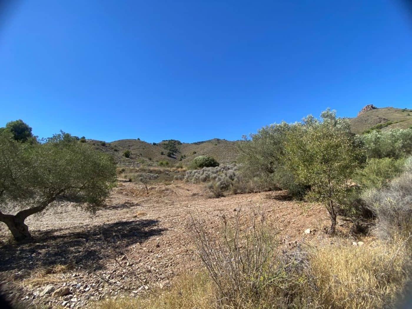 Tomt till salu i Almendricos - 70 000 € (Ref: 8930397)