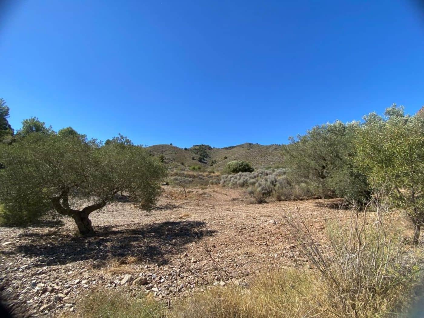 Tomt till salu i Almendricos - 70 000 € (Ref: 8930397)