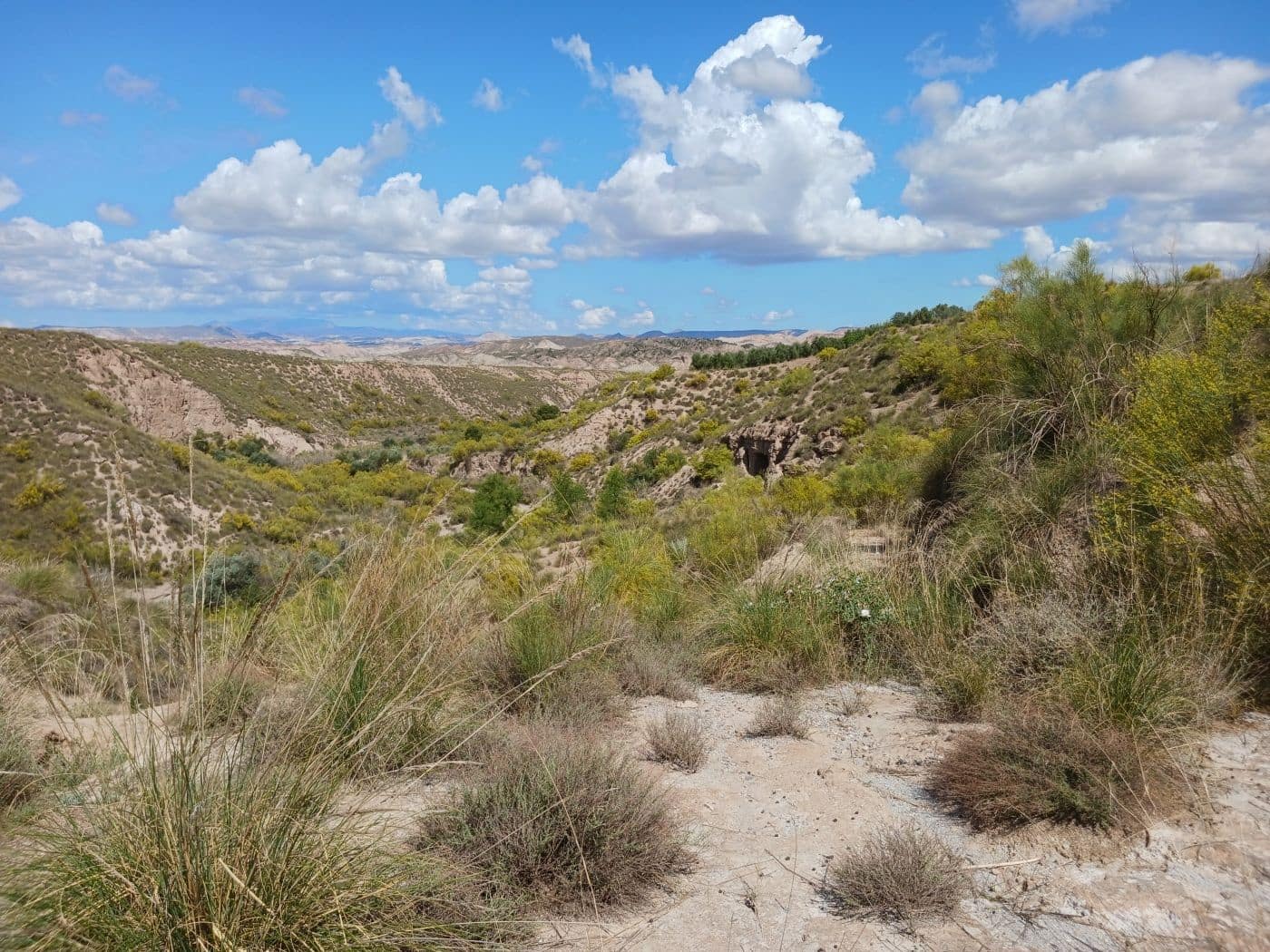 3 soveværelse Finca/Landehus til salg i Freila - € 109.000 (Ref: 8943860)