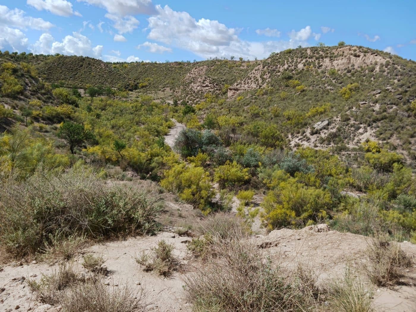 3 soveværelse Finca/Landehus til salg i Freila - € 109.000 (Ref: 8943860)