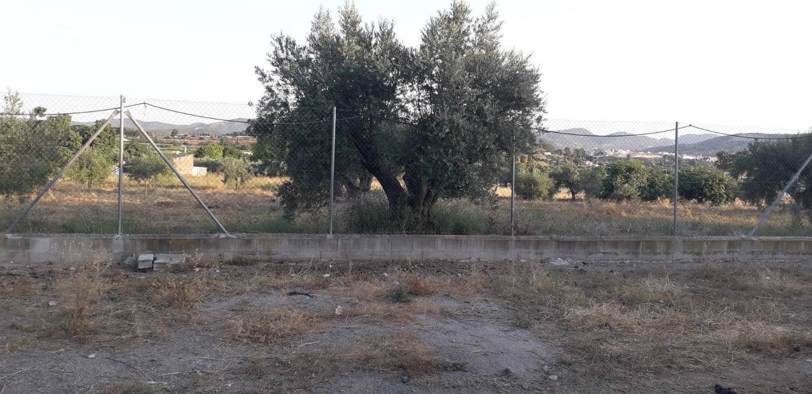 3 soveværelse Finca/Landehus til salg i Cehegin - € 275.000 (Ref: 9142902)