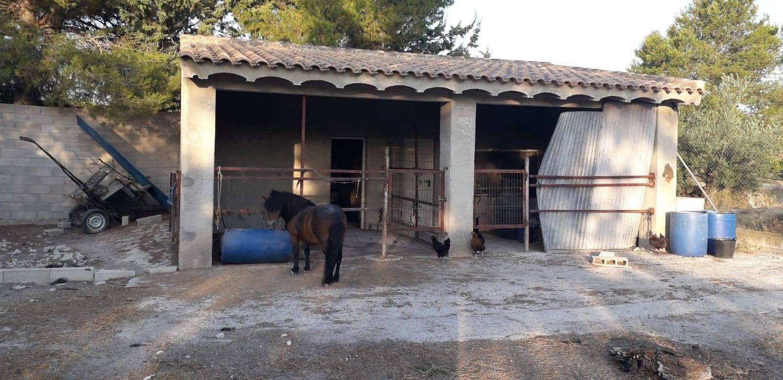 3 soveværelse Finca/Landehus til salg i Cehegin - € 275.000 (Ref: 9142902)