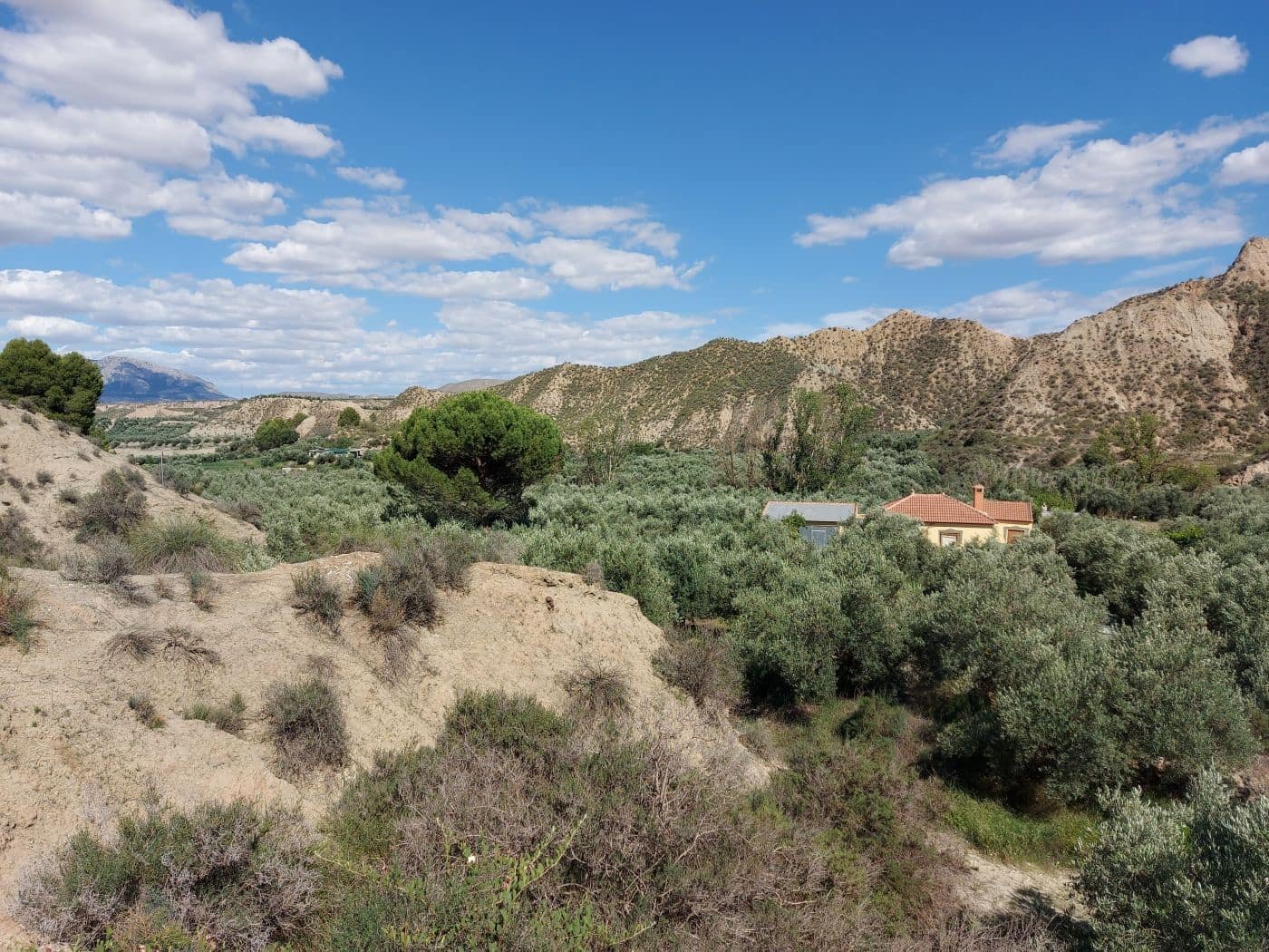 1 soveværelse Finca/Landehus til salg i Beas de Guadix - € 99.000 (Ref: 9264578)