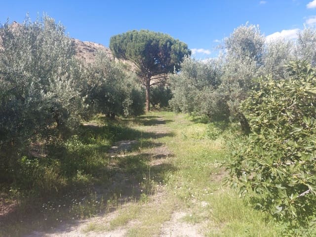 1 soveværelse Finca/Landehus til salg i Beas de Guadix - € 99.000 (Ref: 9264578)