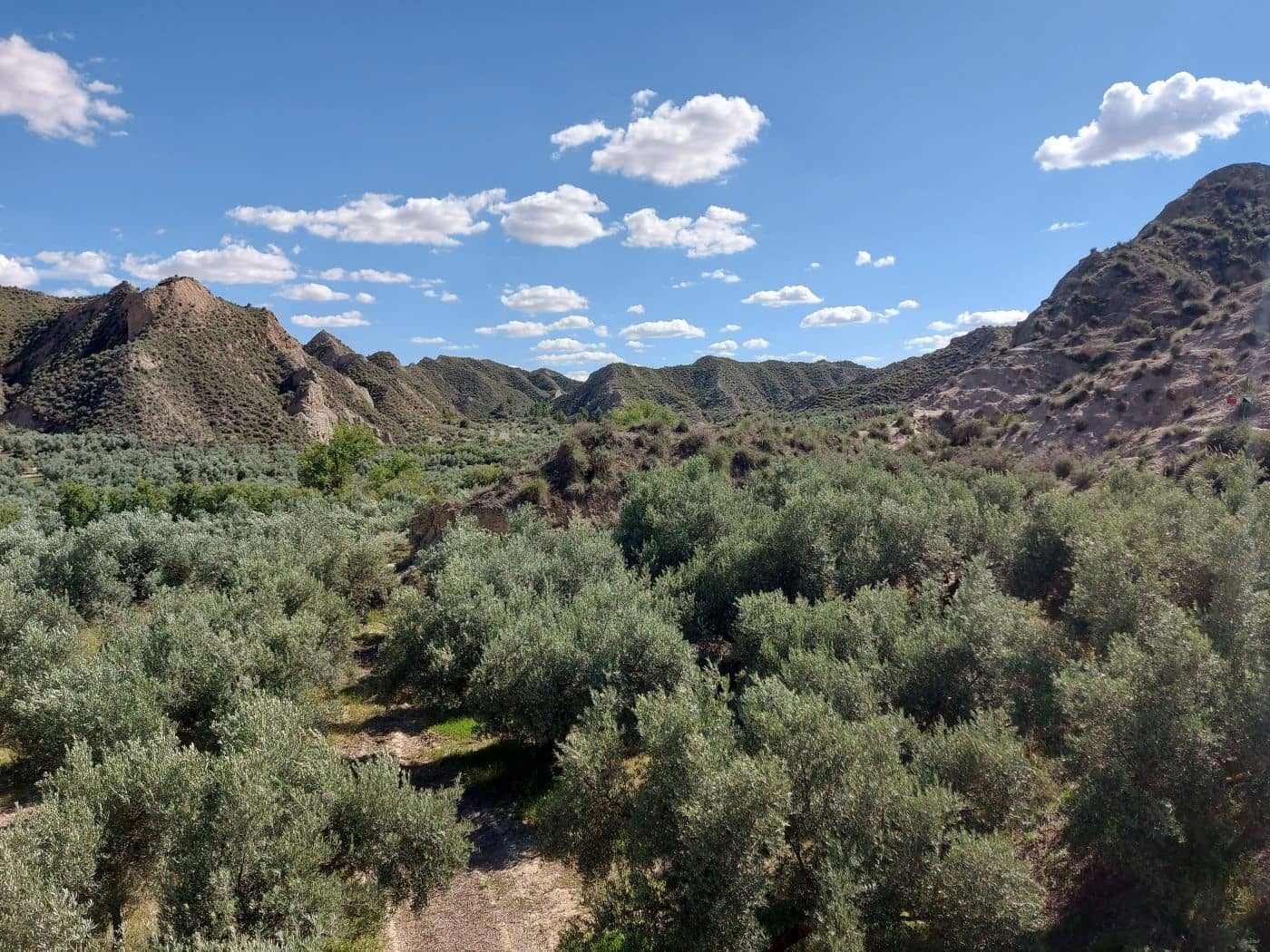 1 soveværelse Finca/Landehus til salg i Beas de Guadix - € 99.000 (Ref: 9264578)