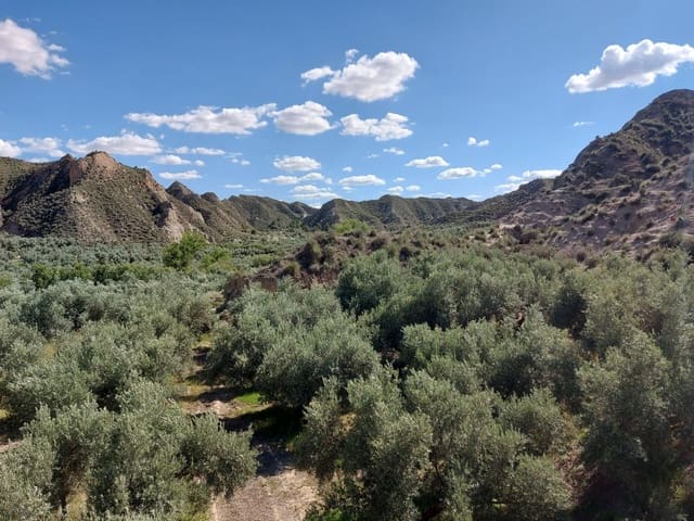 1 soveværelse Finca/Landehus til salg i Beas de Guadix - € 99.000 (Ref: 9264578)