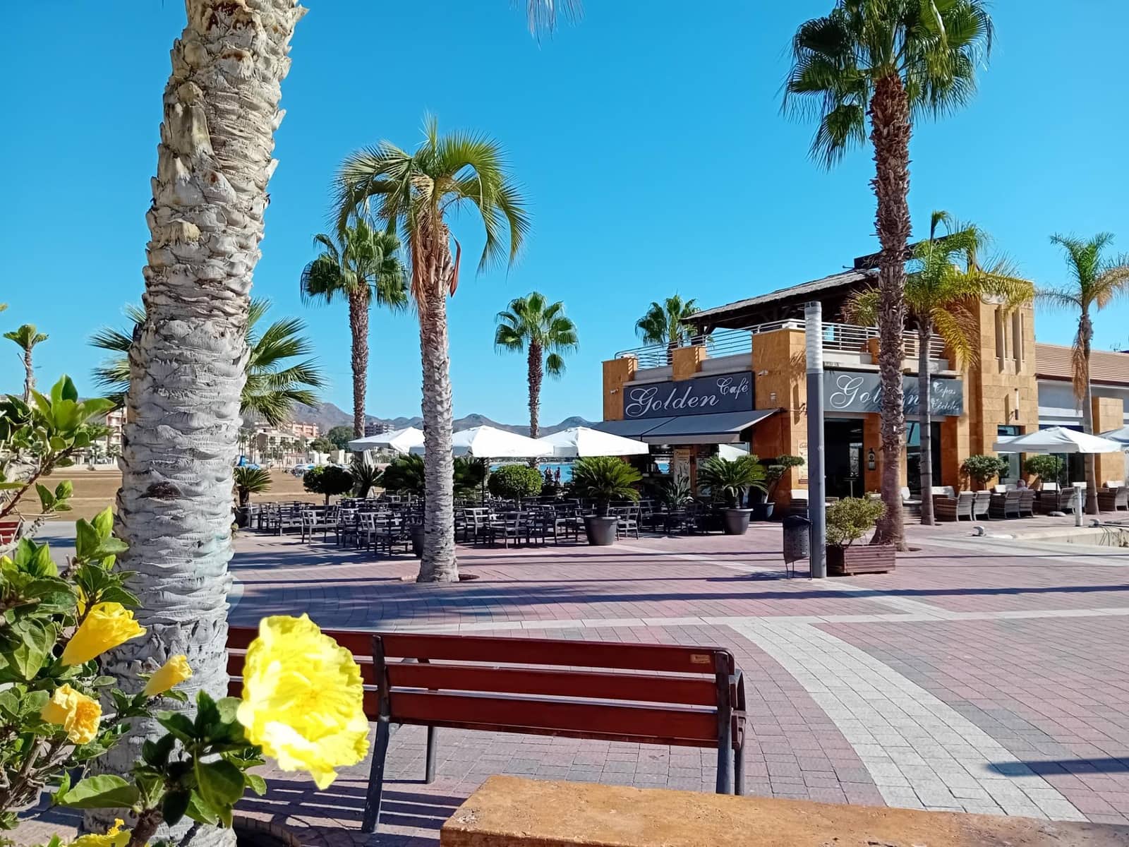 Bedrijf te koop in Puerto de Mazarron - € 495.000 (Ref: 9335006)