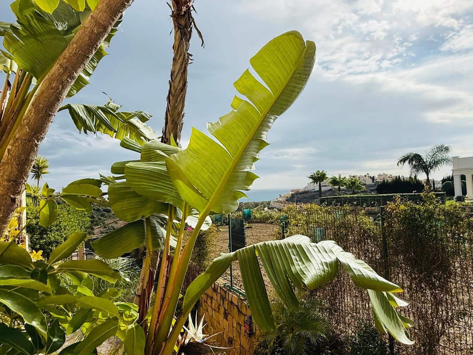 5 slaapkamer Villa te koop in Casares met zwembad garage - € 1.900.000 (Ref: 9411010)