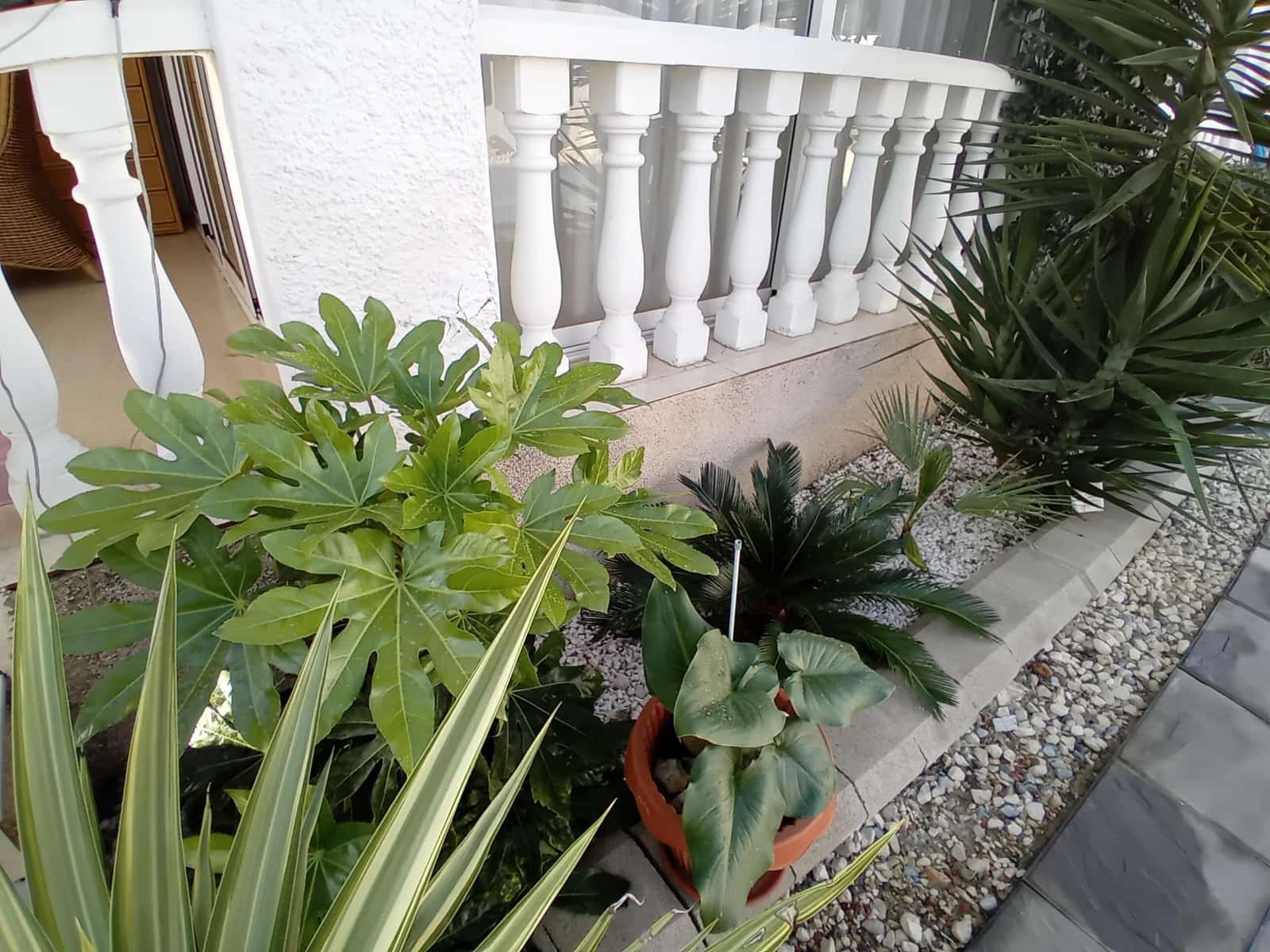 2 chambre Villa/Maison à vendre à Camposol - 179 995 € (Ref: 9433471)