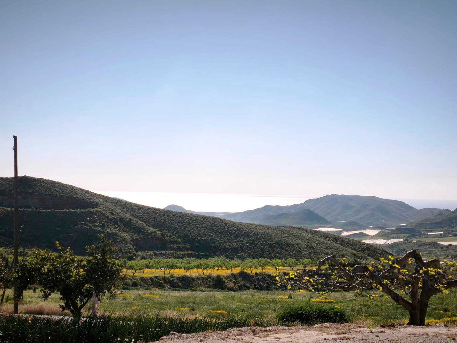 Grunde uden byggetilladelser til salg i Morata - € 585.000 (Ref: 9806517)