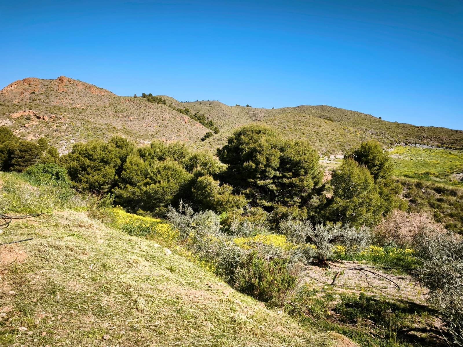 Grunde uden byggetilladelser til salg i Morata - € 585.000 (Ref: 9806517)