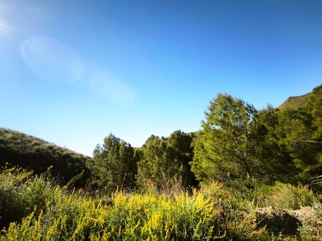 Grunde uden byggetilladelser til salg i Morata, Lorca - € 585.000 (Ref: 9806517)