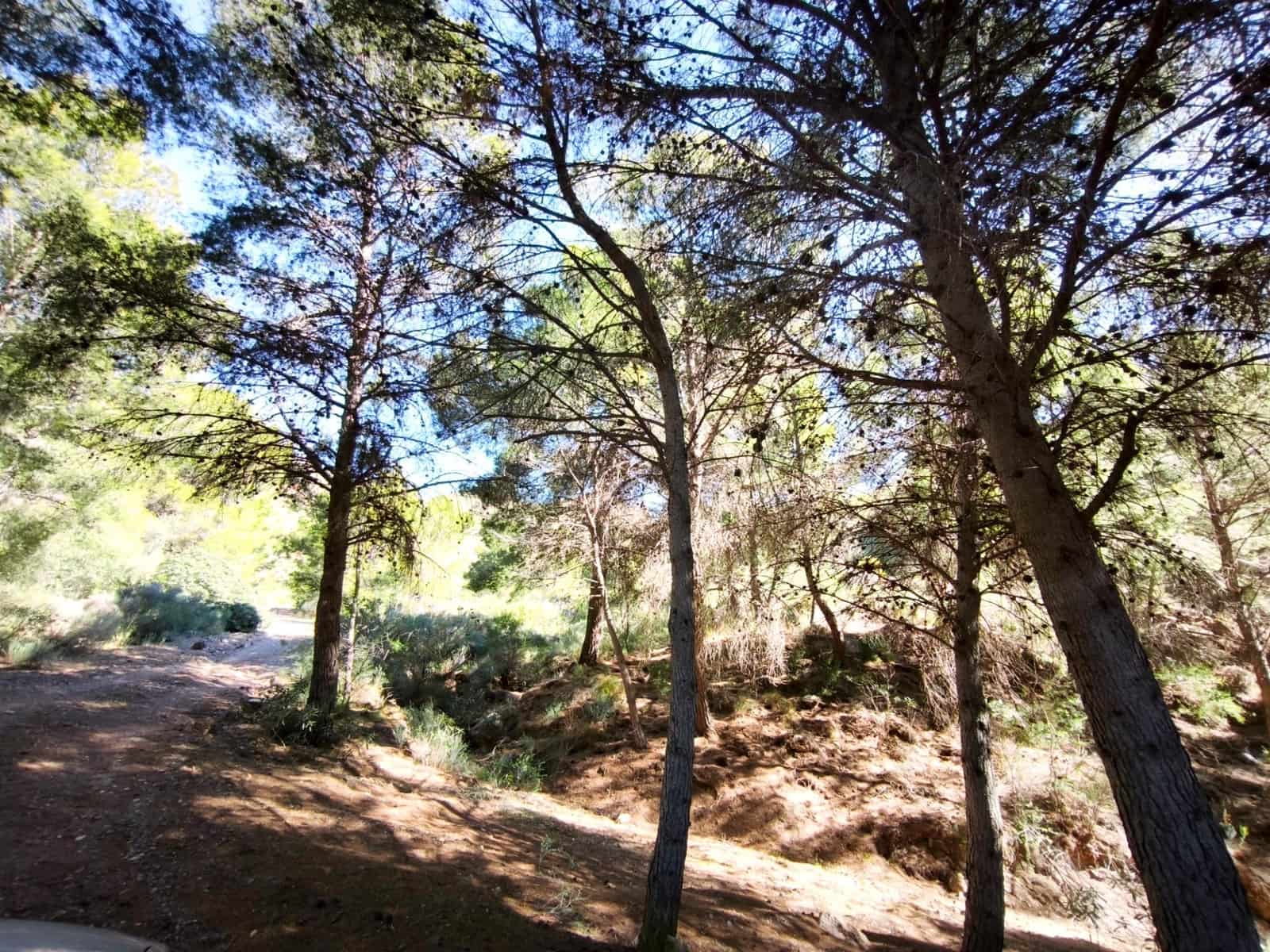 Grunde uden byggetilladelser til salg i Morata - € 585.000 (Ref: 9806517)