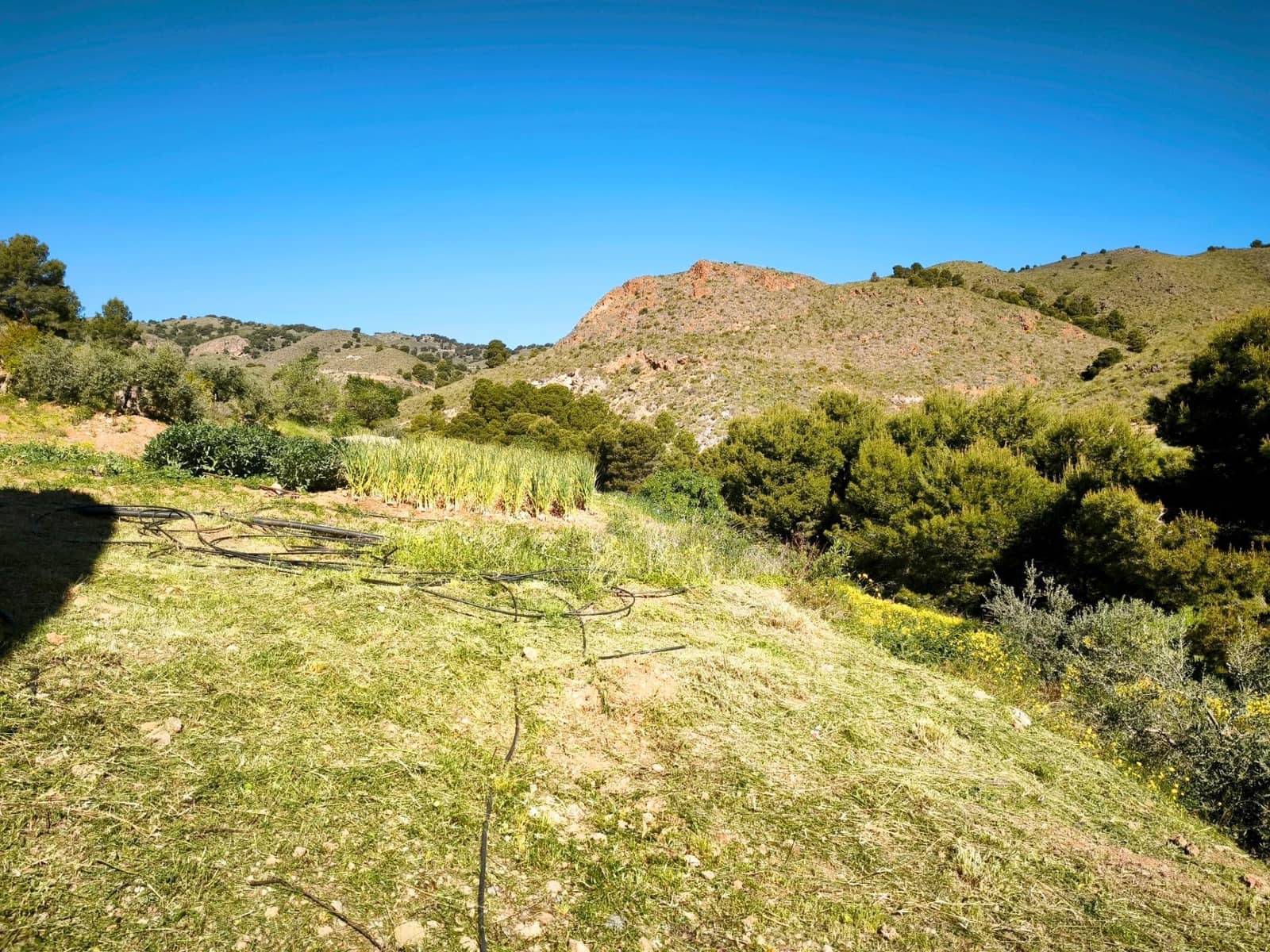 Grunde uden byggetilladelser til salg i Morata - € 585.000 (Ref: 9806517)