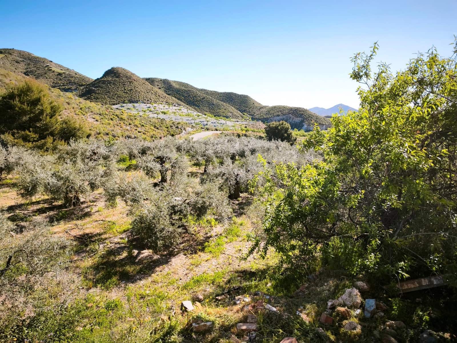 Grunde uden byggetilladelser til salg i Morata - € 585.000 (Ref: 9806517)