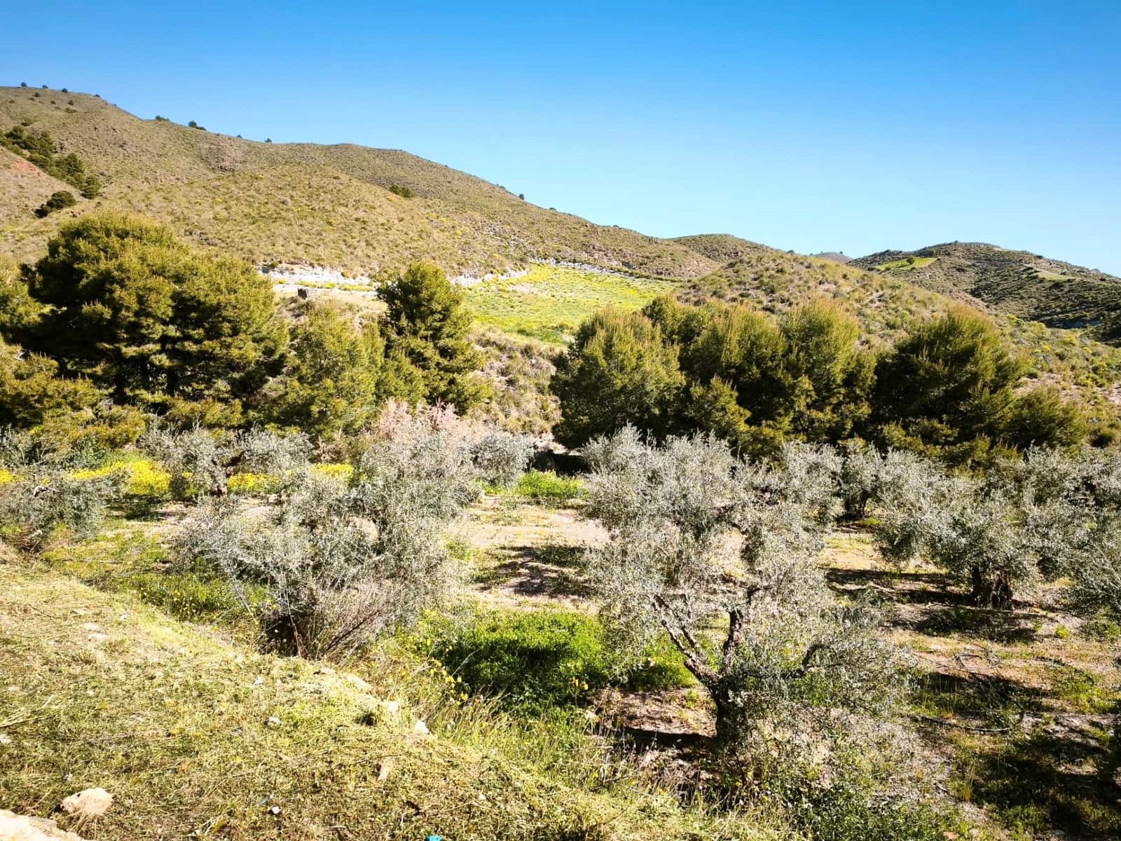 Grunde uden byggetilladelser til salg i Morata - € 585.000 (Ref: 9806517)