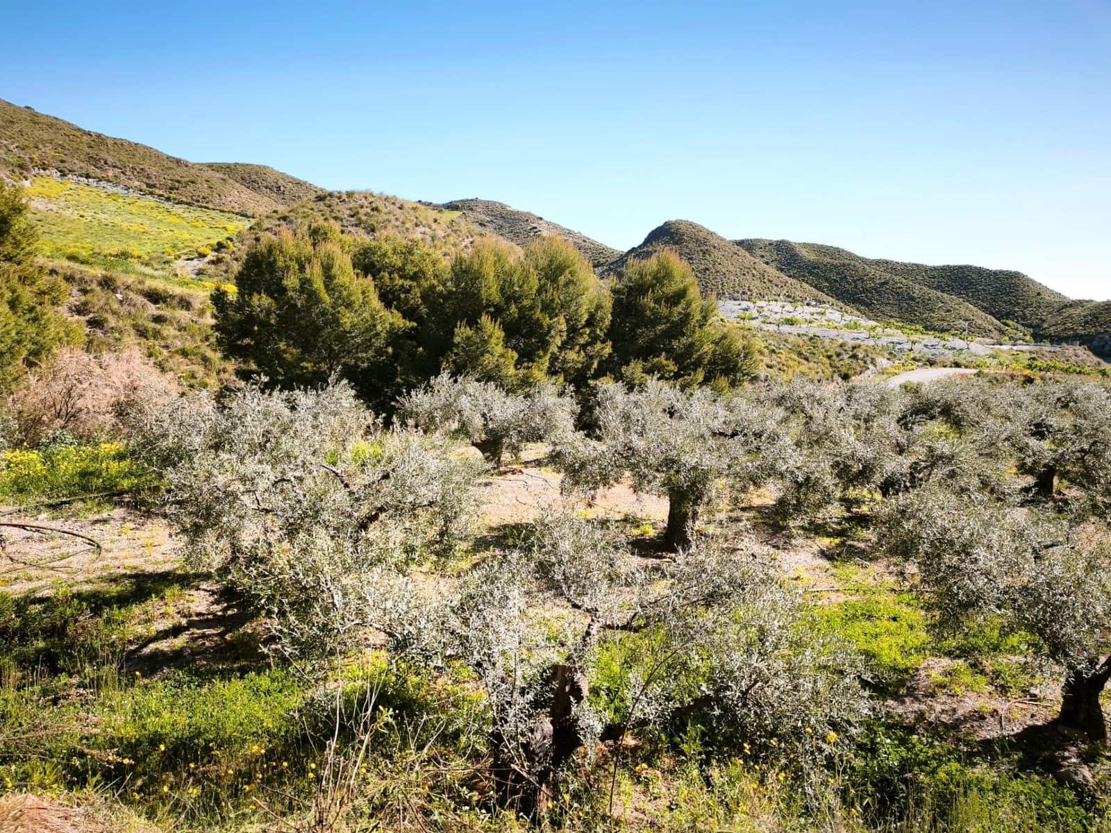 Grunde uden byggetilladelser til salg i Morata - € 585.000 (Ref: 9806517)