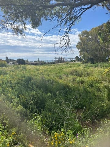 Terrain à Bâtir à vendre à Cancelada, Estepona - 1 150 000 € (Ref: 9936434)