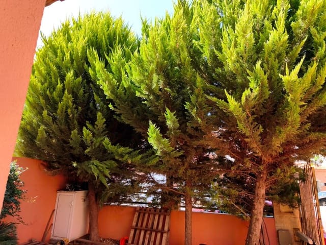 3 Zimmer Doppelhaus zu verkaufen in Mazarrón - 252.000 € (Ref: 9936436)