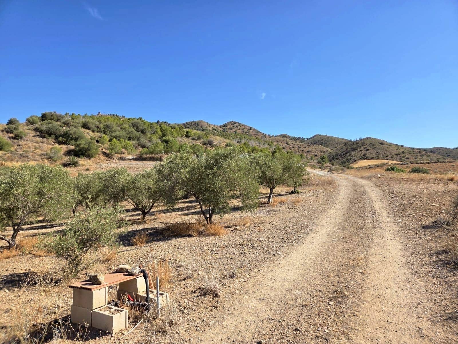 1 Zimmer Finca/Landgut zu verkaufen in Atalaya - 74.900 € (Ref: 9949831)