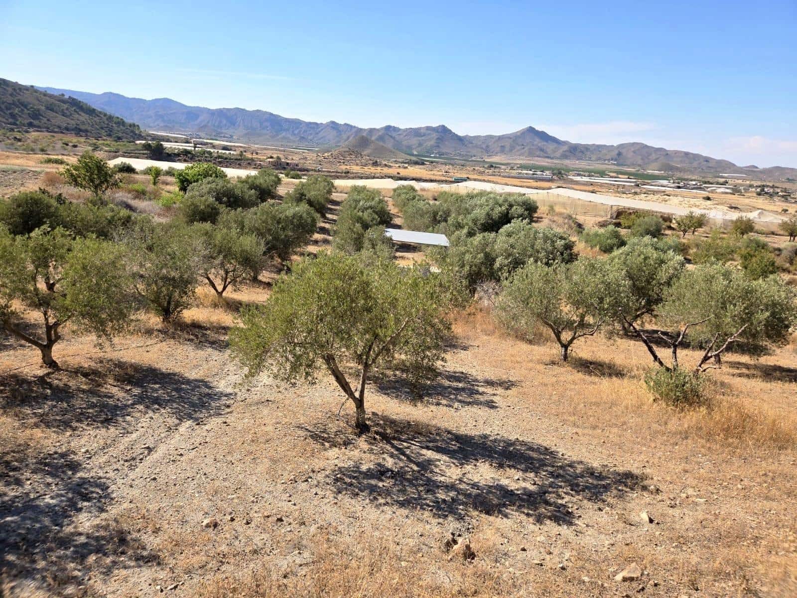 1 Zimmer Finca/Landgut zu verkaufen in Atalaya - 74.900 € (Ref: 9949831)
