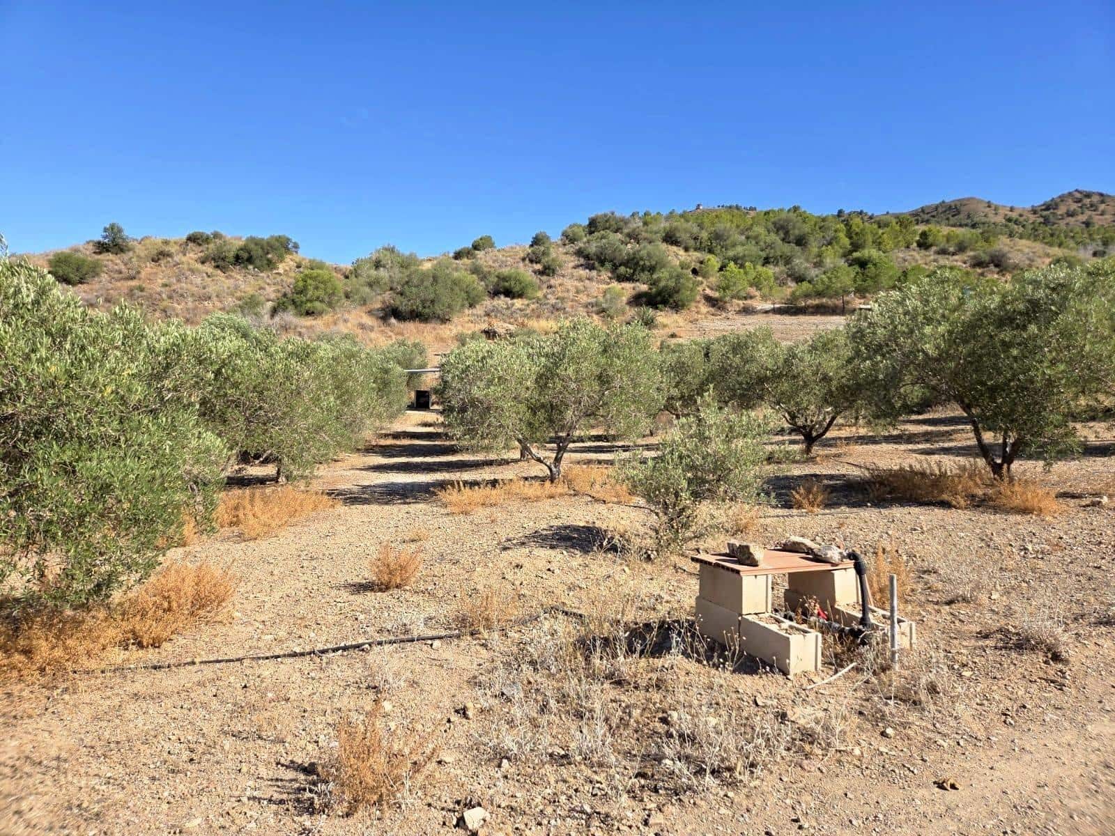 1 Zimmer Finca/Landgut zu verkaufen in Atalaya - 74.900 € (Ref: 9949831)