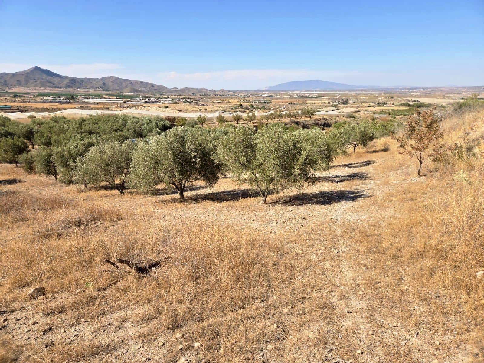 1 Zimmer Finca/Landgut zu verkaufen in Atalaya - 74.900 € (Ref: 9949831)