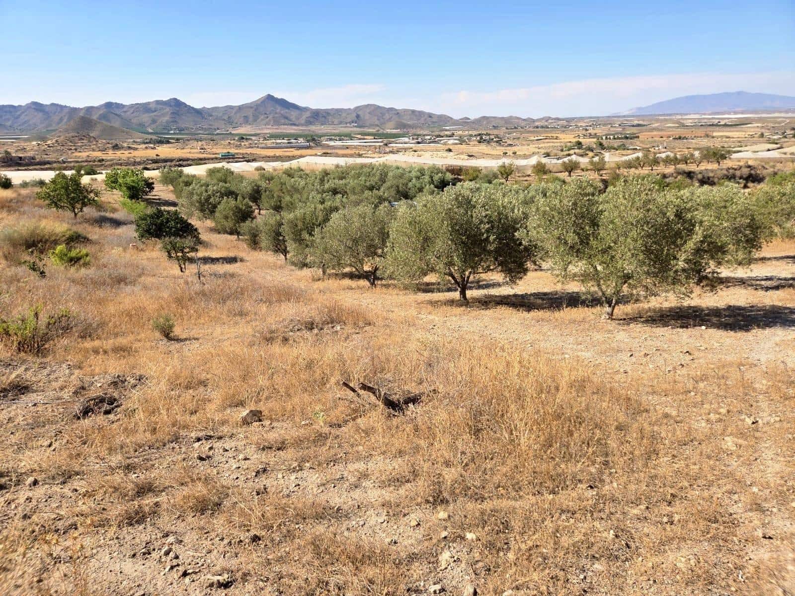 1 Zimmer Finca/Landgut zu verkaufen in Atalaya - 74.900 € (Ref: 9949831)