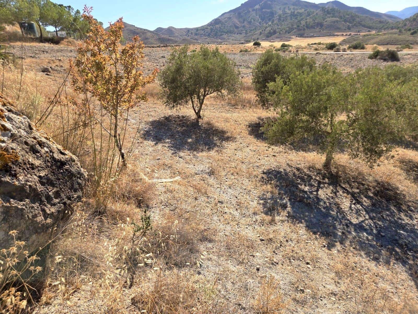 1 Zimmer Finca/Landgut zu verkaufen in Atalaya - 74.900 € (Ref: 9949831)
