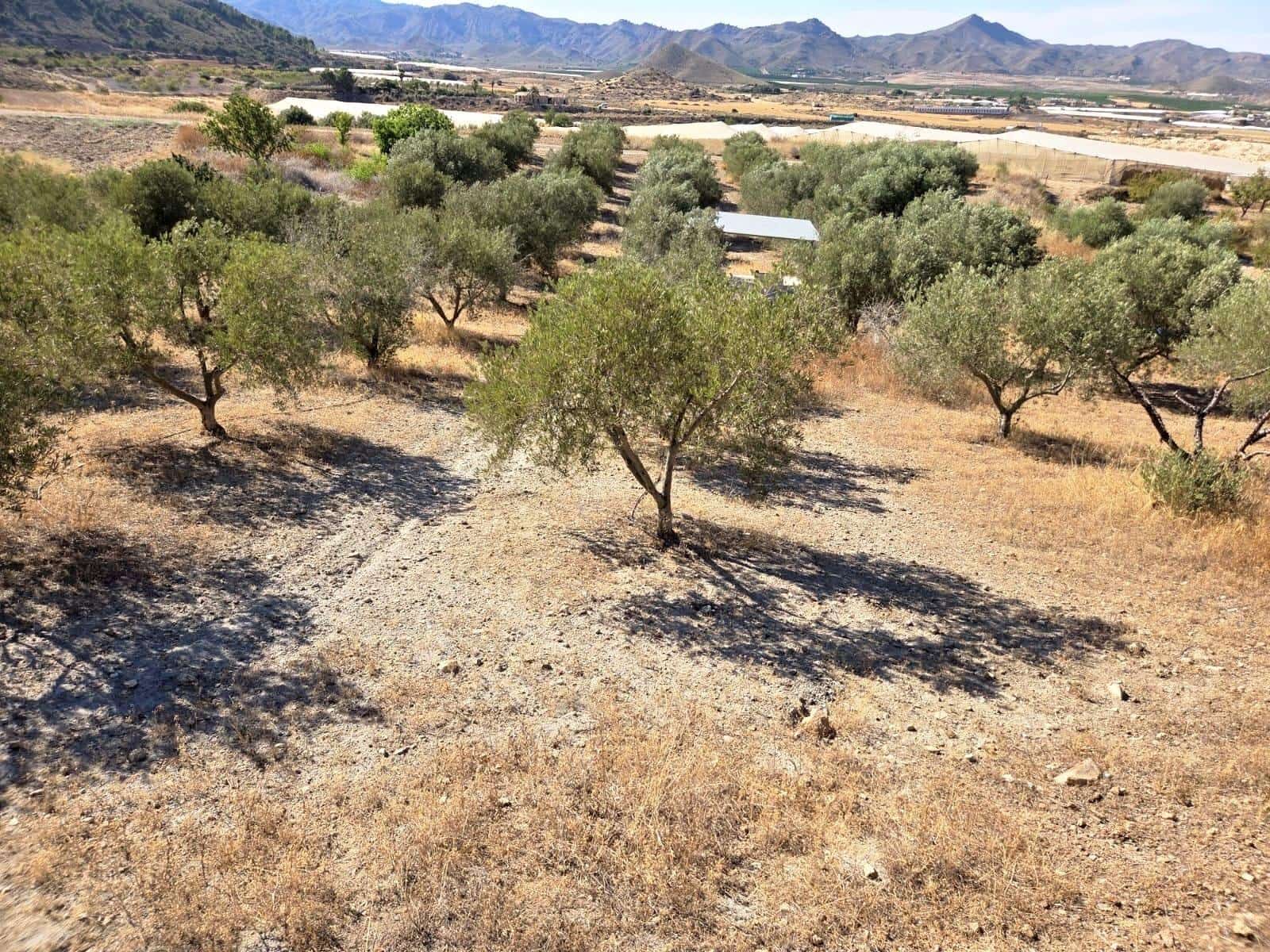 1 Zimmer Finca/Landgut zu verkaufen in Atalaya - 74.900 € (Ref: 9949831)