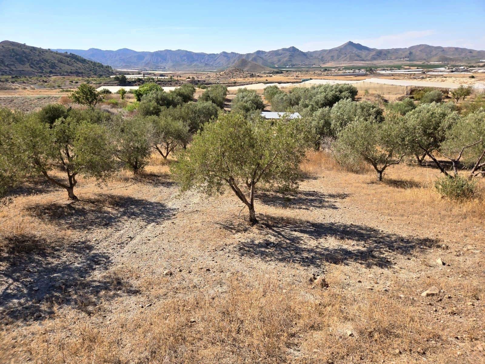 1 Zimmer Finca/Landgut zu verkaufen in Atalaya - 74.900 € (Ref: 9949831)