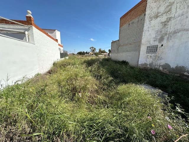 Terre non Aménagée à vendre à Los Alcázares - 20 000 € (Ref: 9839292)
