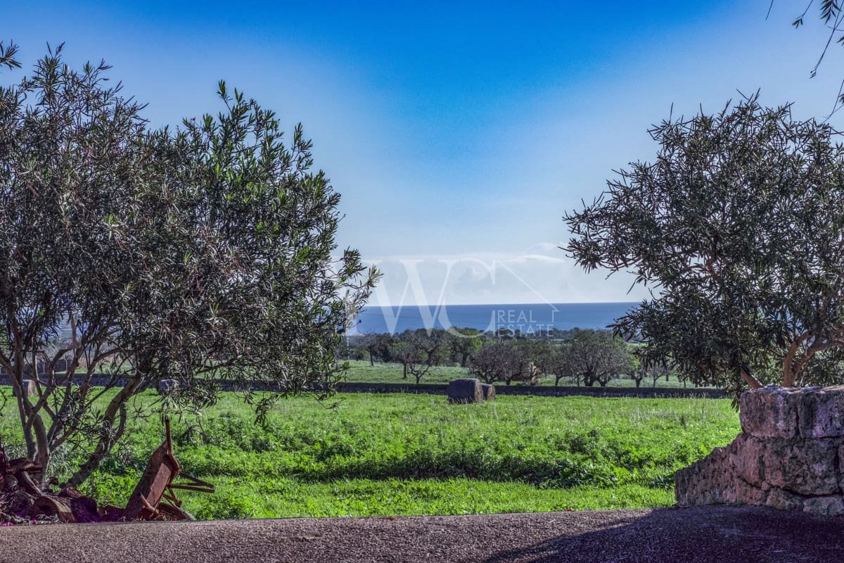 5 soverom Finca/Herregård til salgs i Manacor med svømmebasseng - € 3 250 000 (Ref: 7304818)