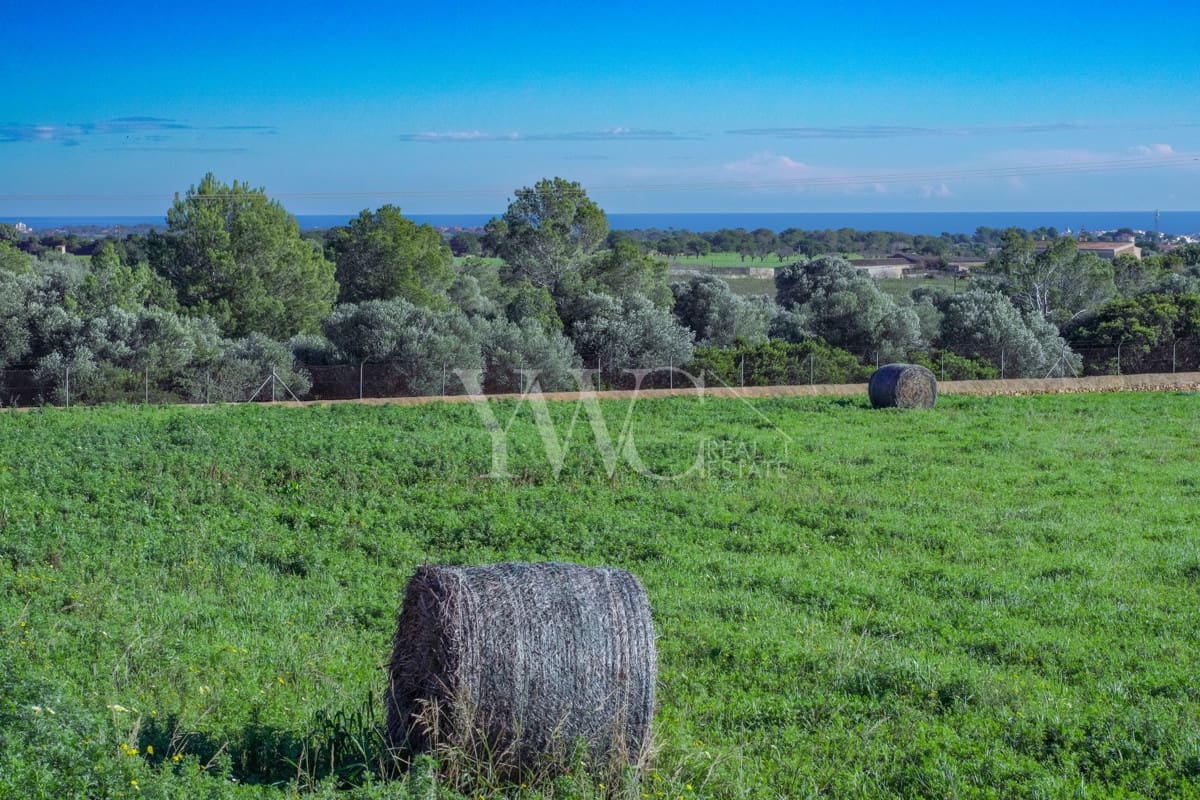 5 soverom Finca/Herregård til salgs i Manacor med svømmebasseng - € 3 250 000 (Ref: 7304818)