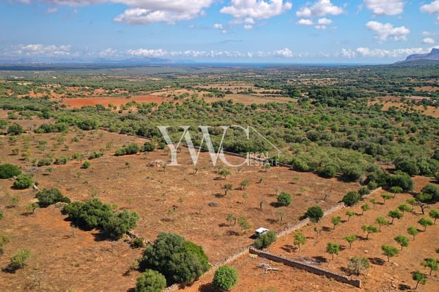 Undeveloped Land for sale in Son Serra de Marina, Santa Margalida - € 1,050,000 (Ref: 8148256)