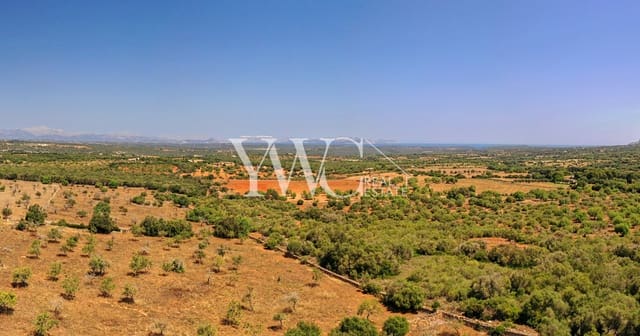 Undeveloped Land for sale in Son Serra de Marina, Santa Margalida - € 1,050,000 (Ref: 8148256)