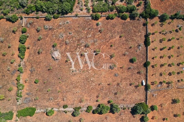 Undeveloped Land for sale in Son Serra de Marina, Santa Margalida - € 1,050,000 (Ref: 8148256)