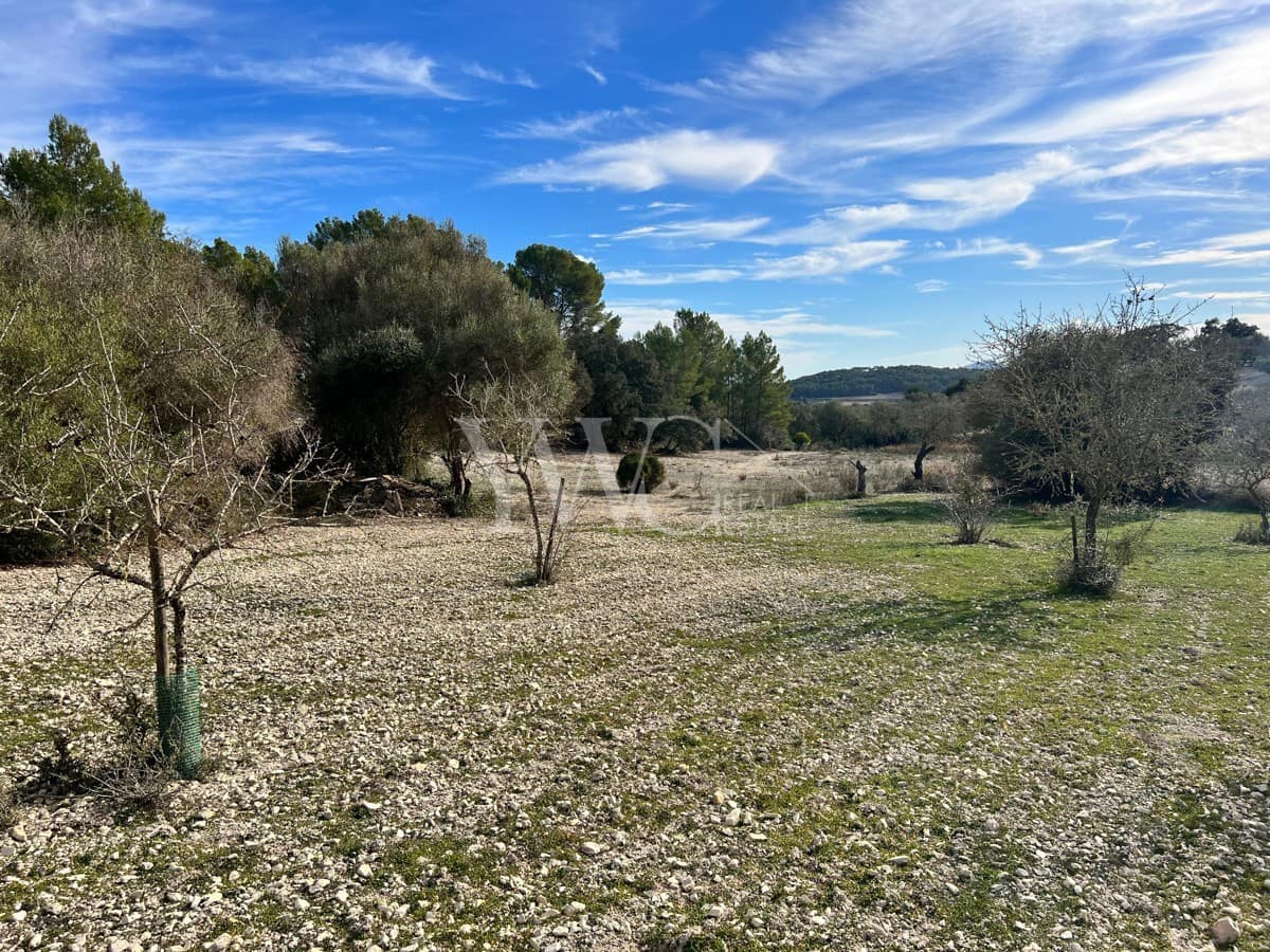 Finca/Country House for sale in Montuiri - € 280,000 (Ref: 8190221)